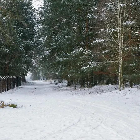 Kolorowe Wzgorze Agroturystyka I Konie Trojanow Exterior photo