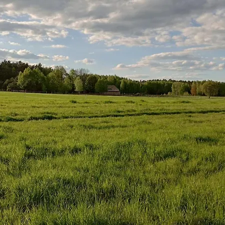Kolorowe Wzgorze Agroturystyka I Konie Trojanow Exterior photo