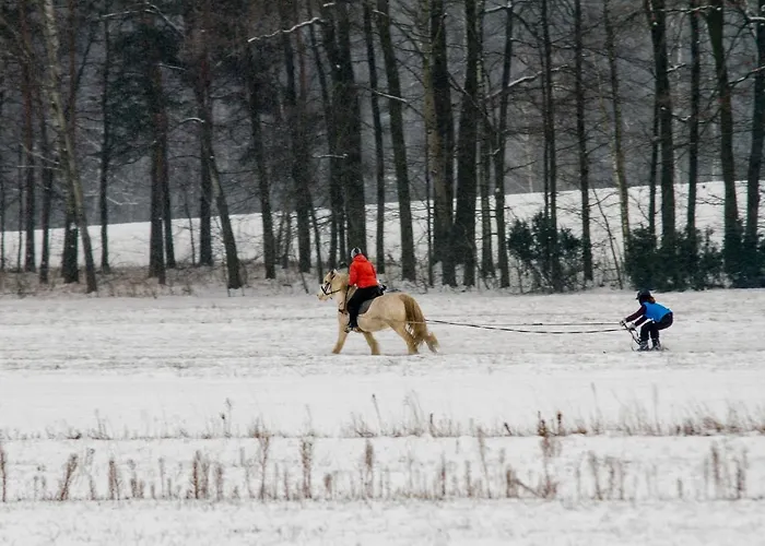 Kolorowe Wzgorze Agroturystyka I Konie
