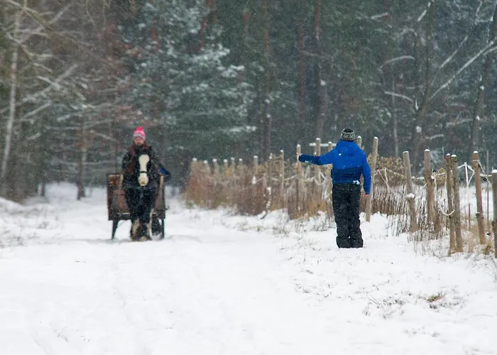 Kolorowe Wzgorze Agroturystyka I Konie