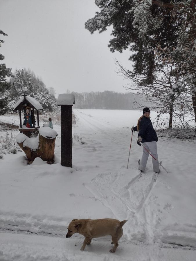 Holiday home Kolorowe Wzgorze I Konie