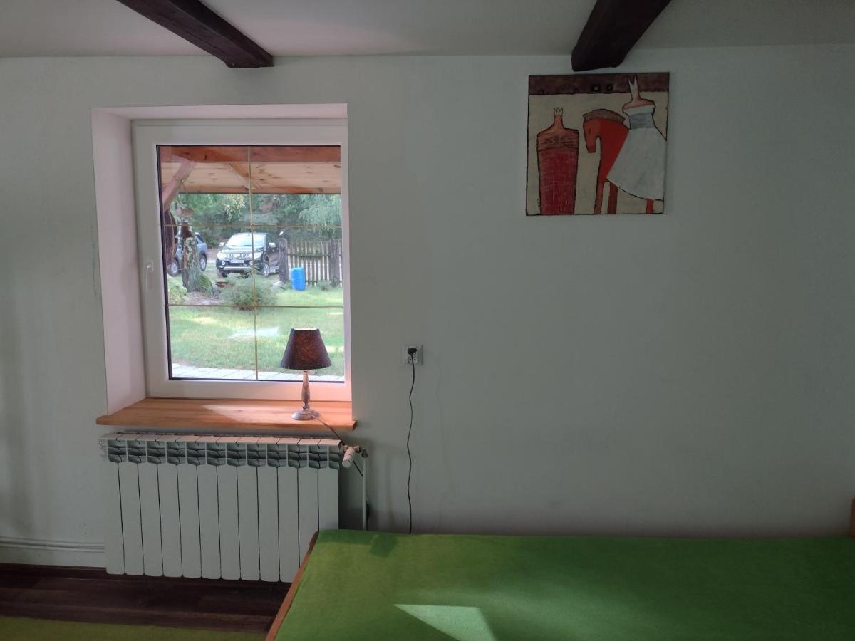 Kolorowe Wzgorze I Konie