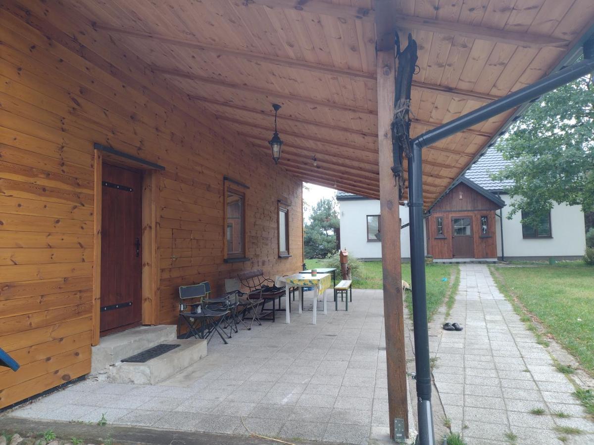 Kolorowe Wzgorze I Konie