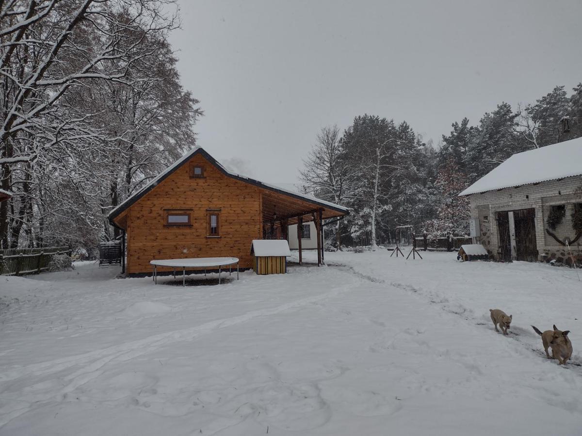 Kolorowe Wzgorze I Konie *