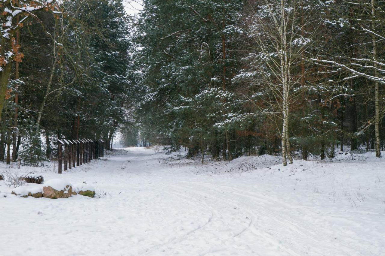 Holiday home Kolorowe Wzgorze I Konie