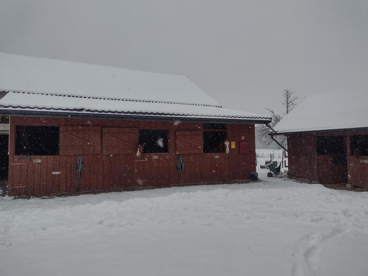 Kolorowe Wzgorze I Konie Trojanow
