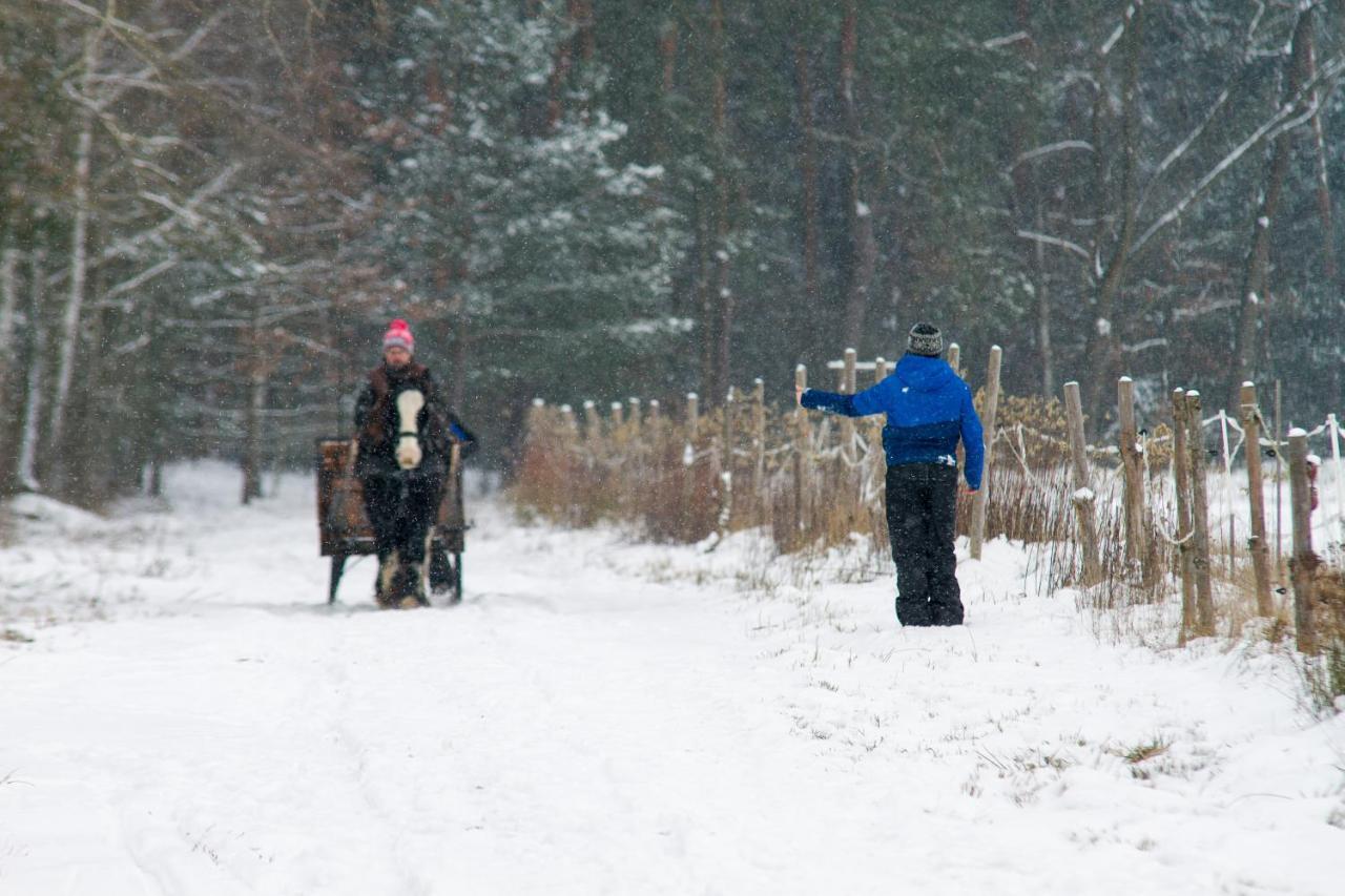 Kolorowe Wzgorze I Konie