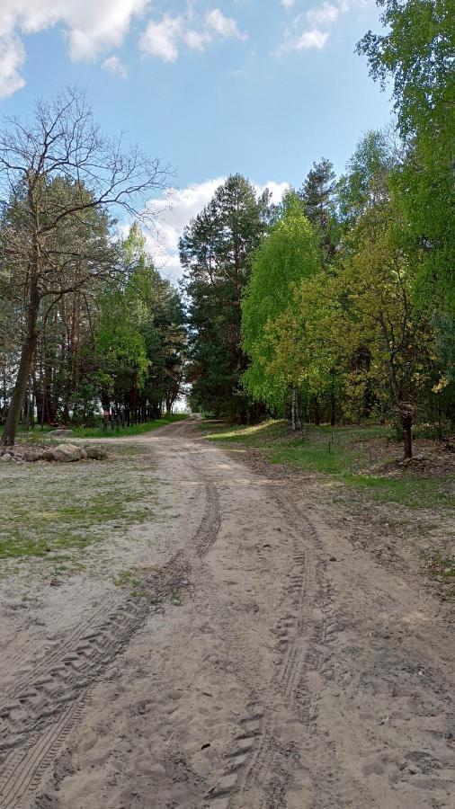 Holiday home Kolorowe Wzgorze I Konie Trojanow