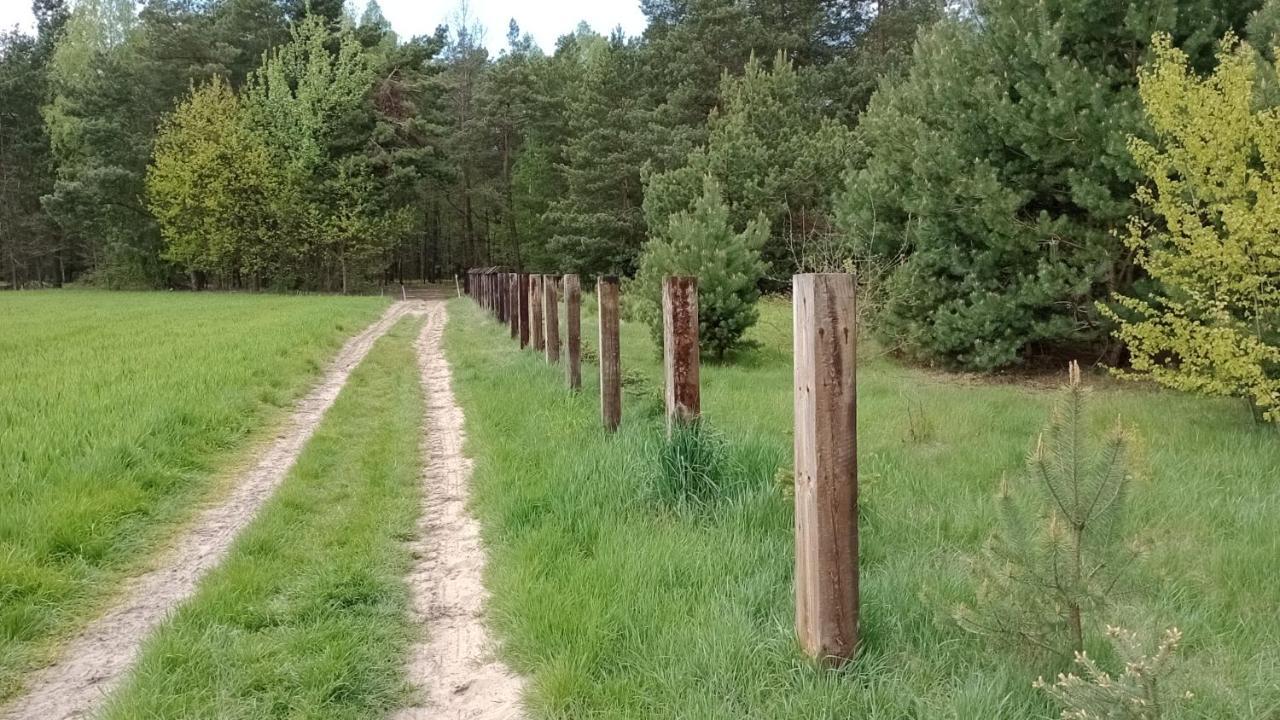 Holiday home Kolorowe Wzgorze I Konie *